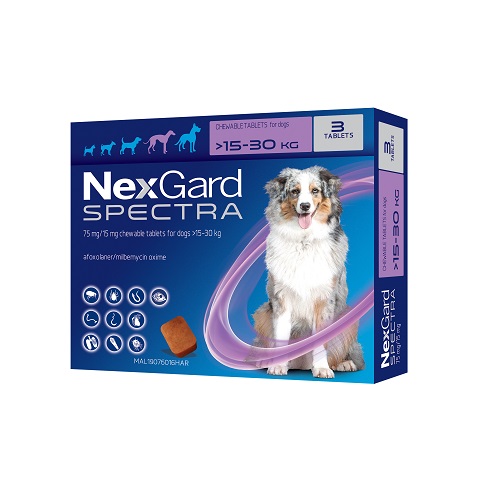 Nexgard spectra large hot sale dog best price